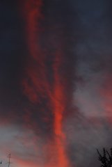 61  320x240 apocalipsa pe colentina Apocalipsa pe Colentina
